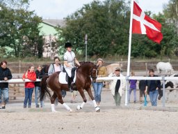 IMG_8139_web